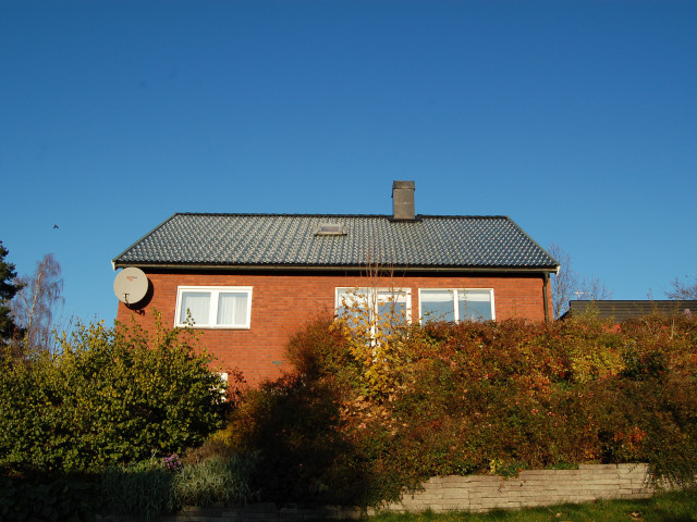 Vernuftig Zweeds photovoltaisch dak